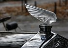 Delage D8 Figoni (1930) mascotte Lalique  Delage D8 Figoni (1930) mascotte Lalique, Tour de Paris, 50e anniversaire de la FIVA, 20 novembre 2016