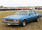 Chevrolet Caprice 1979  Chevrolet Caprice 1979, Aubamerican days, Aérodrome de Brienne-le-château, 24 mai 2024