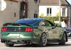 Ford Mustang GT500  Ford Mustang GT500, Journée Baya Baptêmes du coeur, Branches (89), 10 octobre 2024