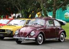 Volkswagen Coccinelle  Volkswagen Coccinelle, Classic days, 28 avril 2024