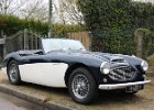Austin-Healey 100  Austin-Healey 100, bourse de Courtenay, 2 avril 2023