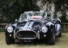 Cobra replica  Cobra replica, 8eme Avallon Auto Passion, L'isle-sur-Serein, 8 juin 2025