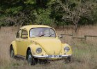 Volkswagen Coccinelle  Volkswagen Coccinelle, 48 heures de Troyes, 11 septembre 2022