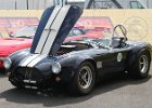 Cobra  Cobra, 31e Sport et Collection, circuit du Val de Vienne, 31 mai 2025