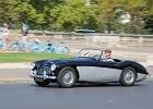 Austin-Healey 3000