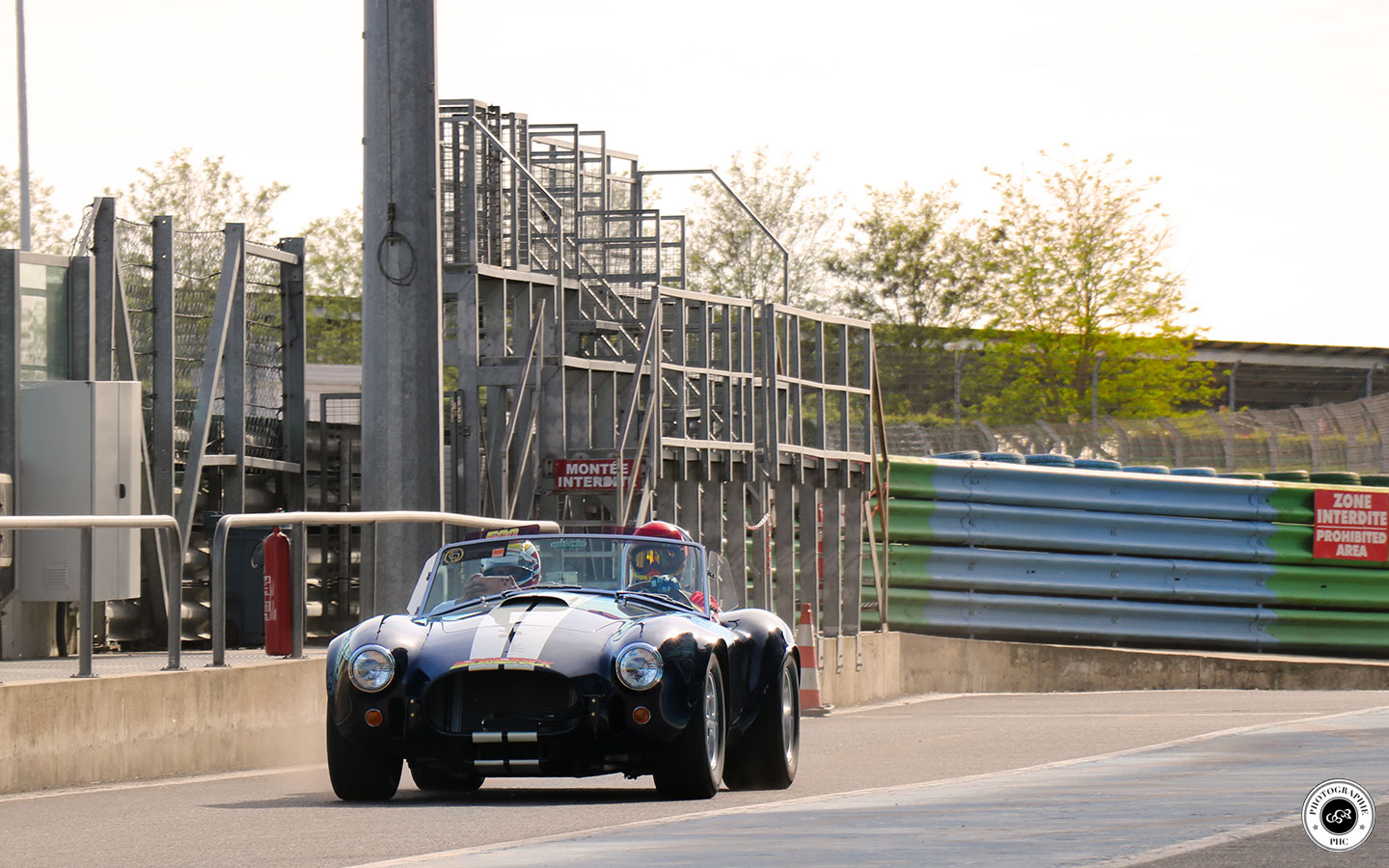 Cobra