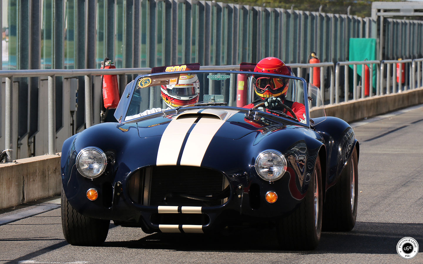 Cobra