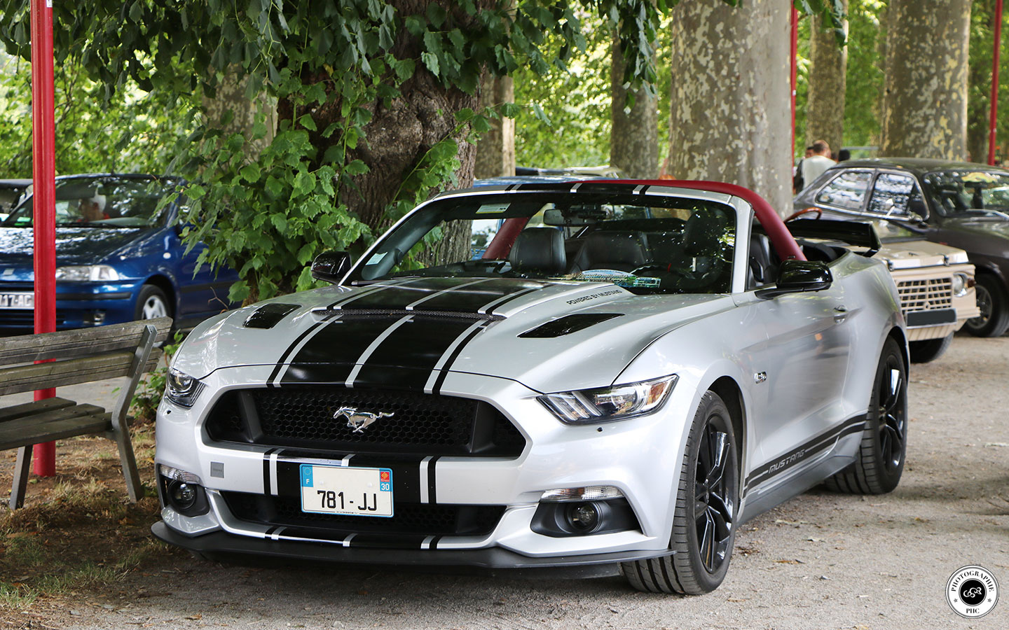 Mustang 6