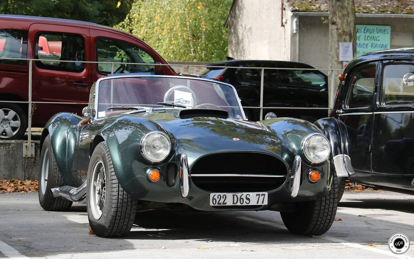 Cobra Martin 1994