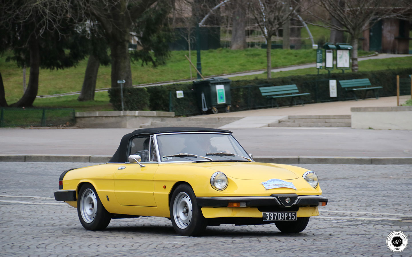Alfa Spider