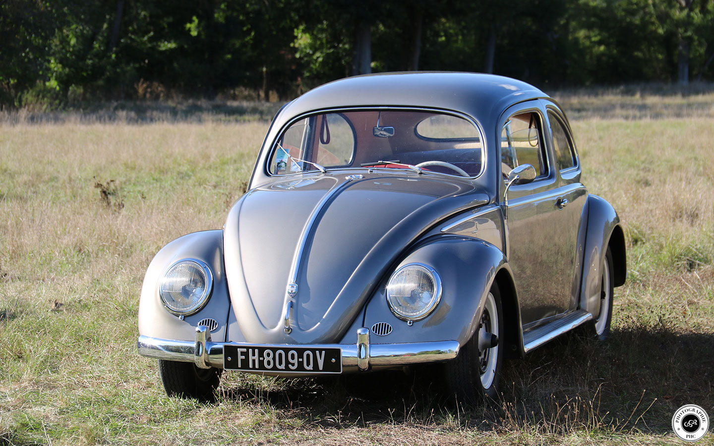 VW Coccinelle